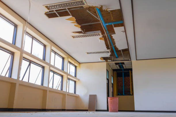 Best Ceiling water damage repair  in Willimantic, CT