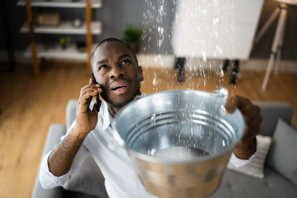 Best 24/7 water damage repair  in Willimantic, CT