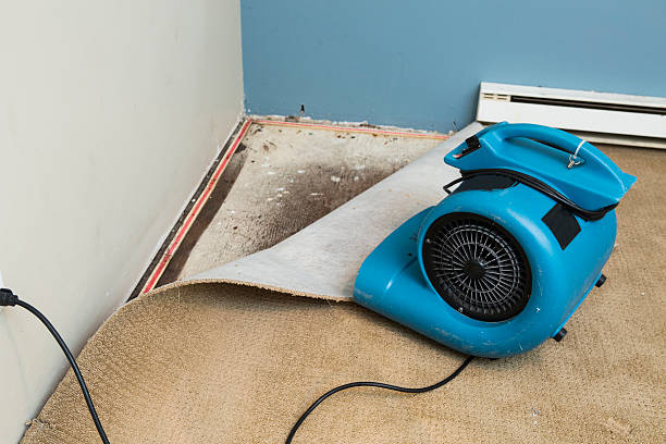 Best Flood restoration services  in Willimantic, CT